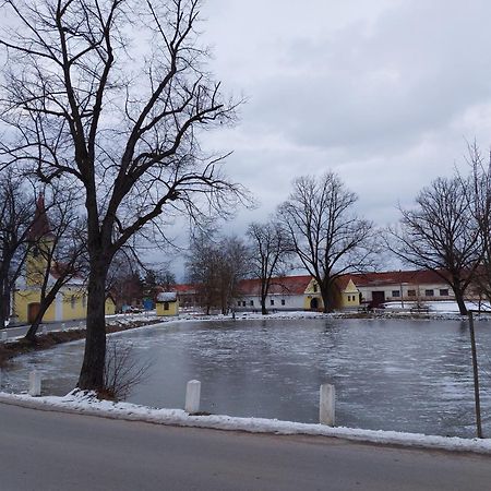 Ubytovani U Dvoraku Veselí nad Lužnicí Buitenkant foto